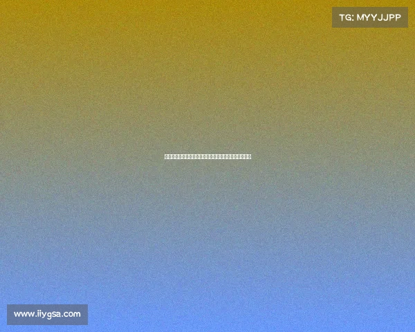 世界扑克系列赛德州扑克巅峰殿堂的荣耀征程与传奇故事