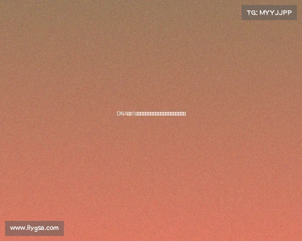 DNA篮球1赛事盛大开幕群雄逐鹿点燃激情共享荣耀时刻